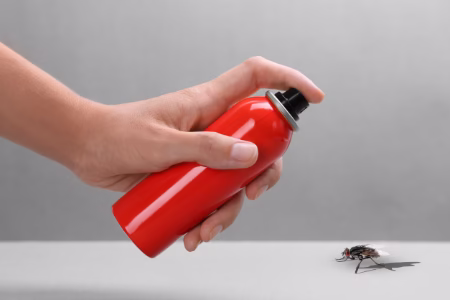 How pest control gets rid of flies with spray