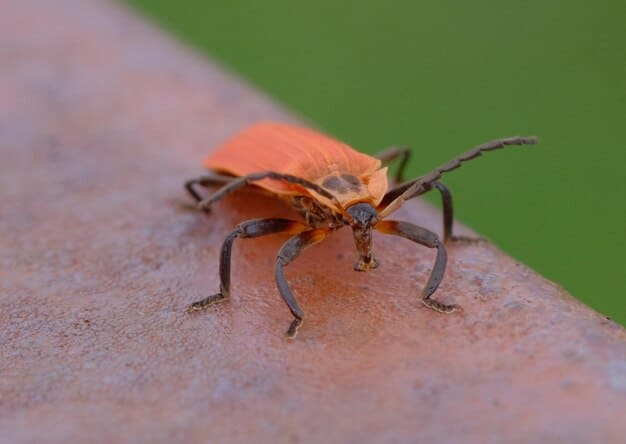 Expectations and Maintenance