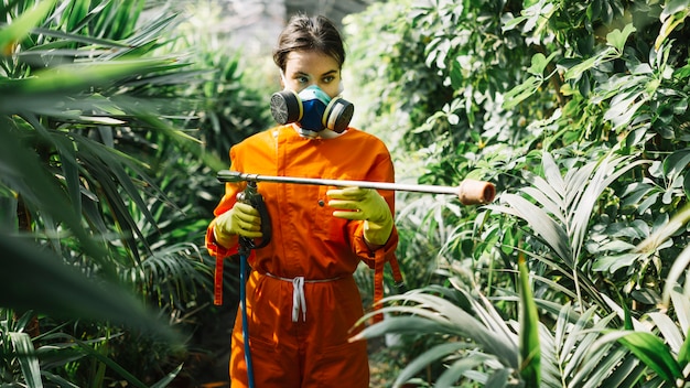 What is environmental pest control?