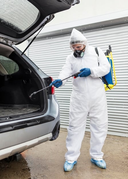 Identifying signs of pest infestation inside your vehicle