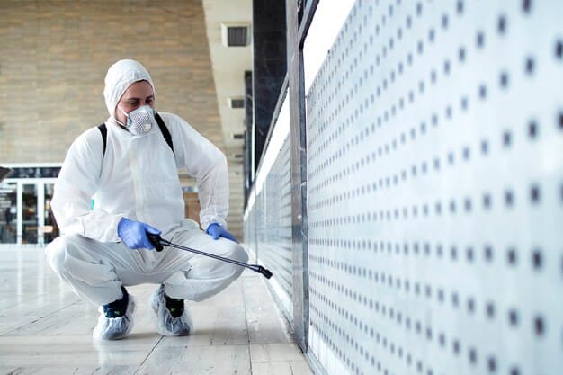 Which Cleaning Methods to Use Without Compromising Pest Control Residue