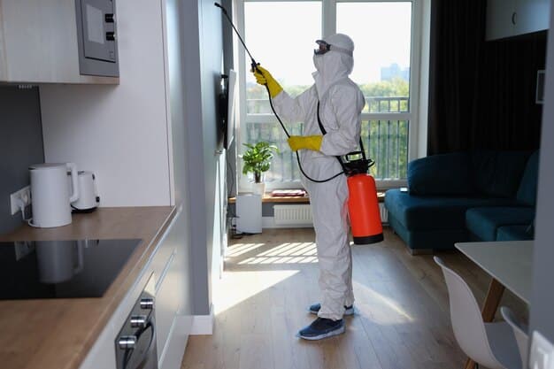 How to Check for Hidden Pest Activity Before Moving In
