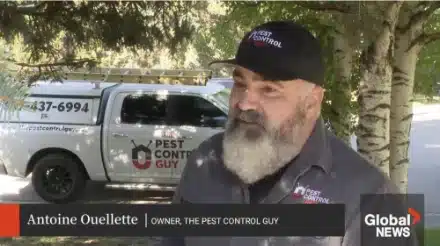 Pest Control Calgary pest control Calgary in the news