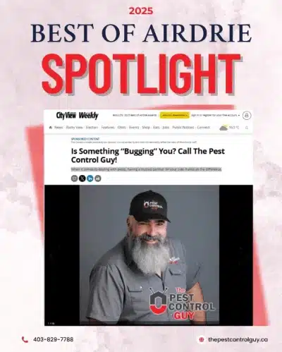 best_of_airdrie_sm Airdrie Pest Control